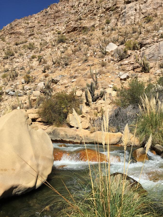 Cabanas El Albaricoque Cochiguaz El Sanjeado Zewnętrze zdjęcie