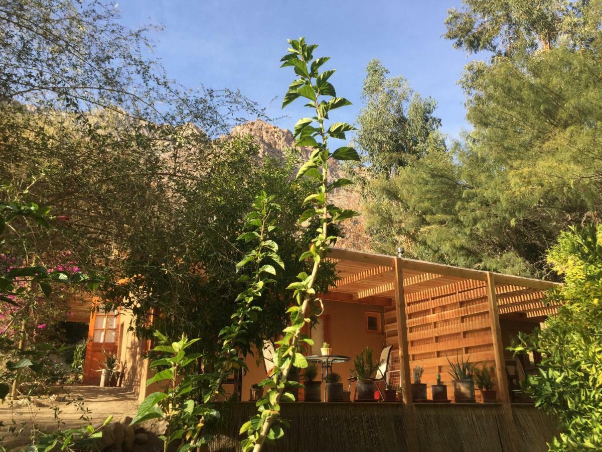 Cabanas El Albaricoque Cochiguaz El Sanjeado Zewnętrze zdjęcie
